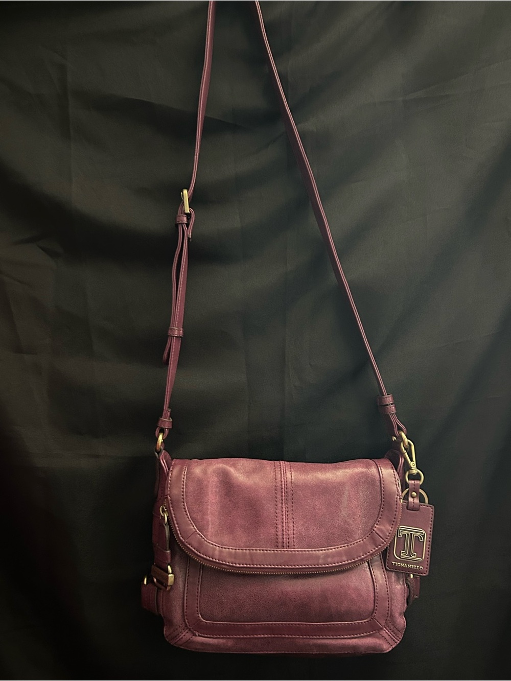 Tignanello Women's Plum Multi-Pocket Crossbody Shoulder Bag